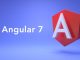 Angular 7 Interview Questions – Most Asked Interview Question Angular 7 Interview Questions